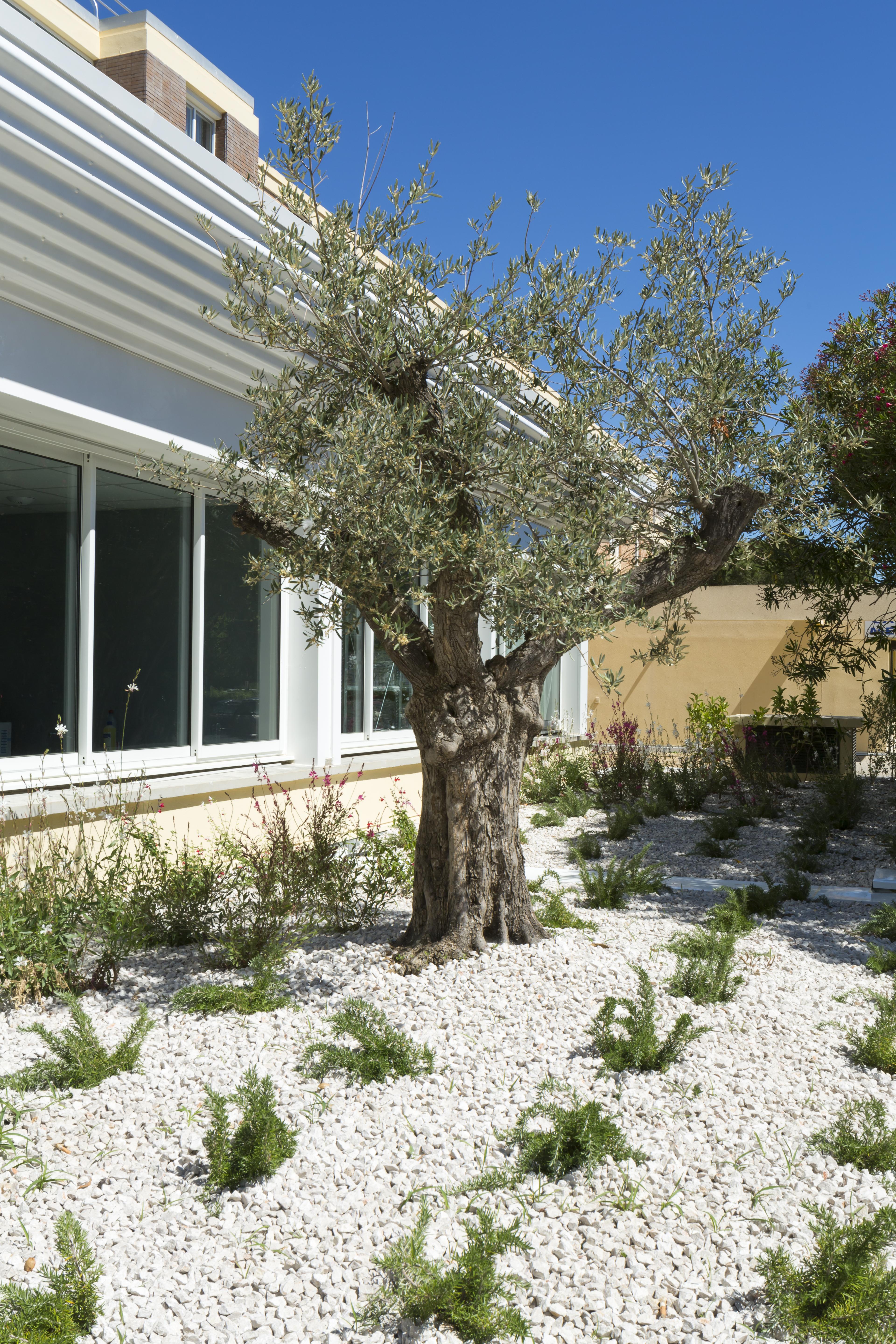 Logis Hotel Les Pins - Operalia Balaruc-les-Bains Zewnętrze zdjęcie