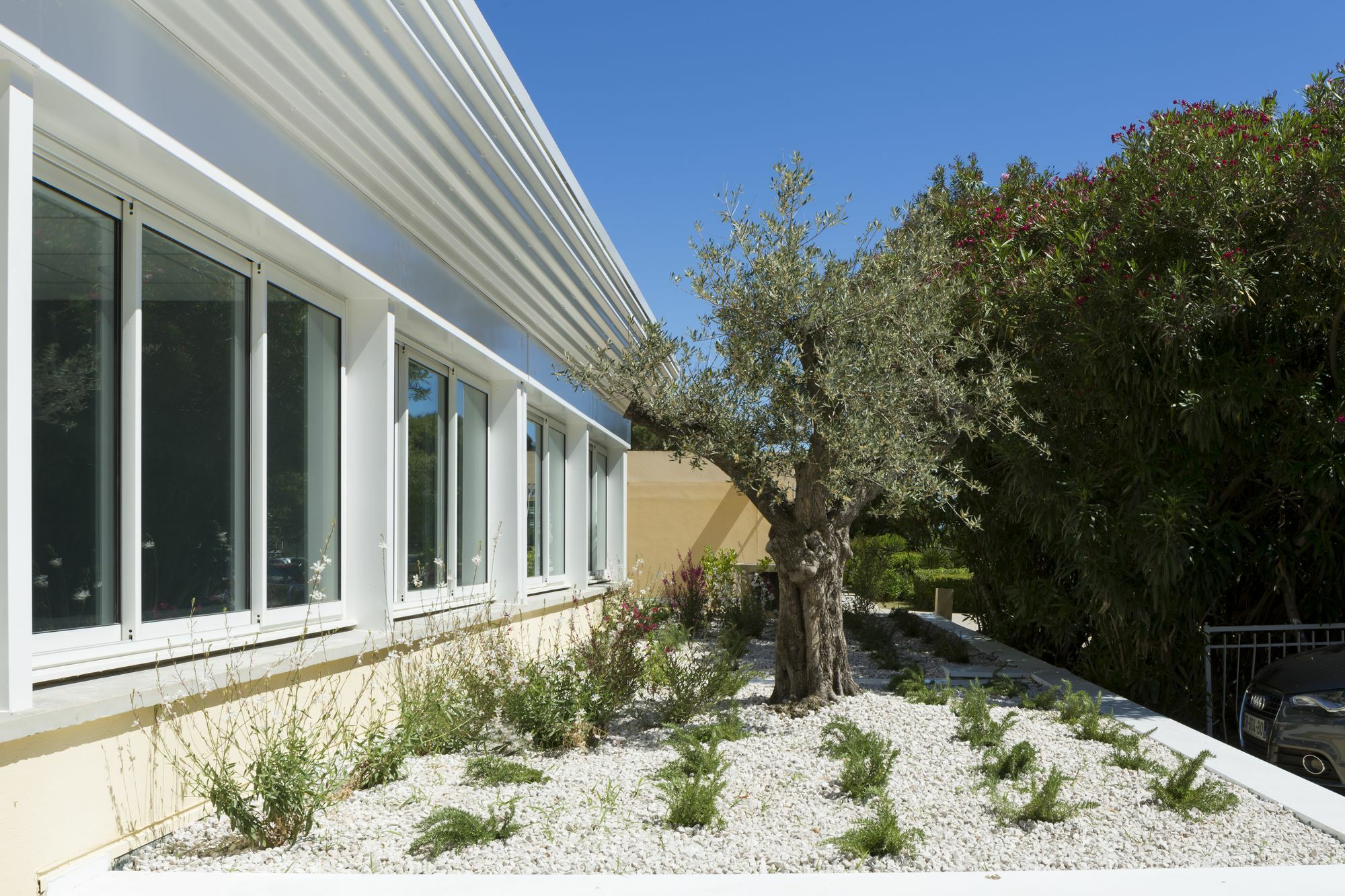 Logis Hotel Les Pins - Operalia Balaruc-les-Bains Zewnętrze zdjęcie